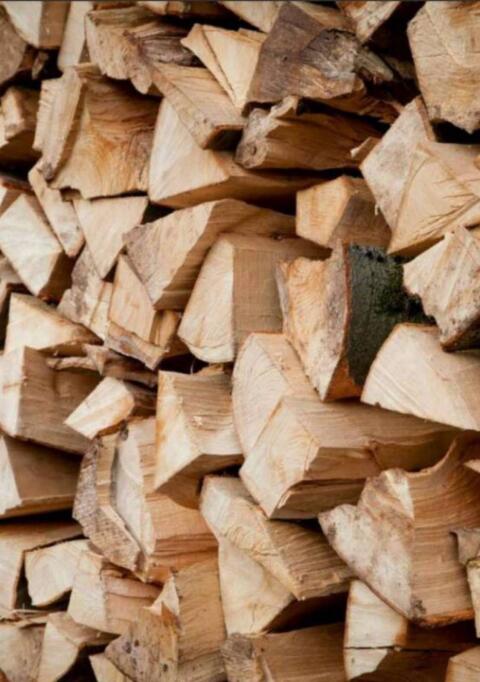 Brennholz
