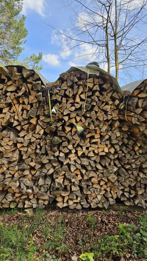 Brennholz weich
