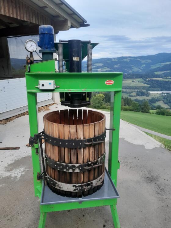 Obstpresse