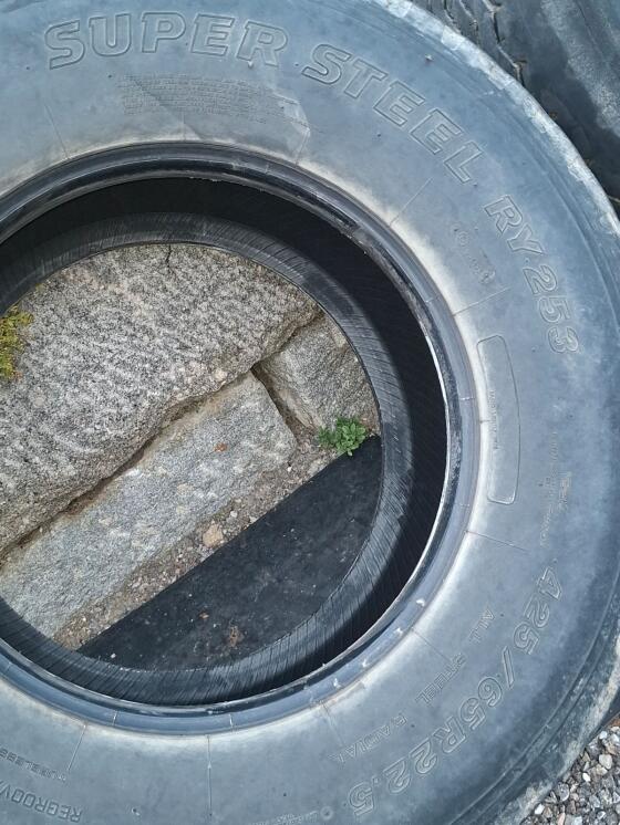 Reifen 425/65 R22,5 Yokohama