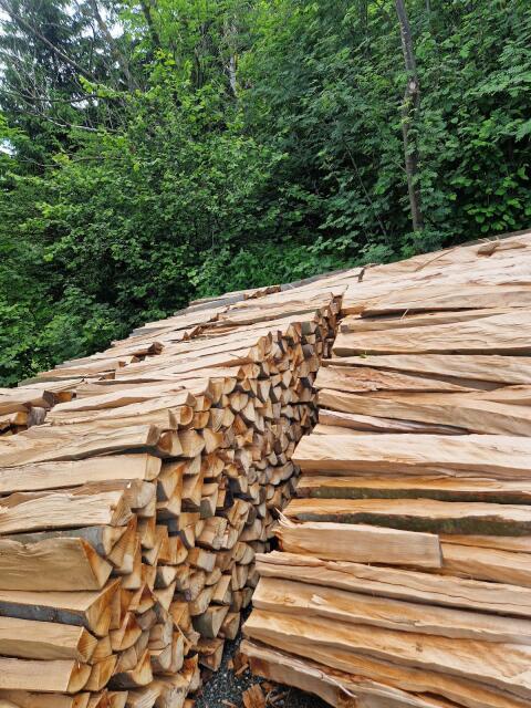 Buchenbrennholz