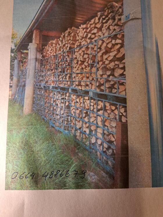 Buchenbrennholz