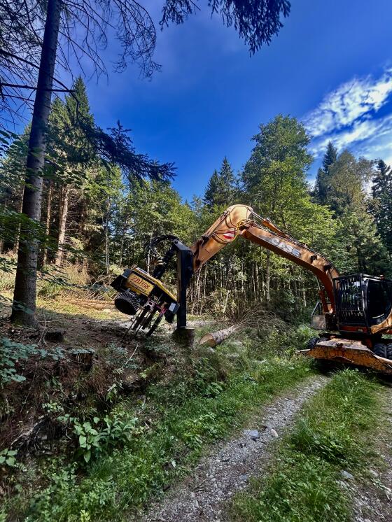 Prozessorbagger Case WX210