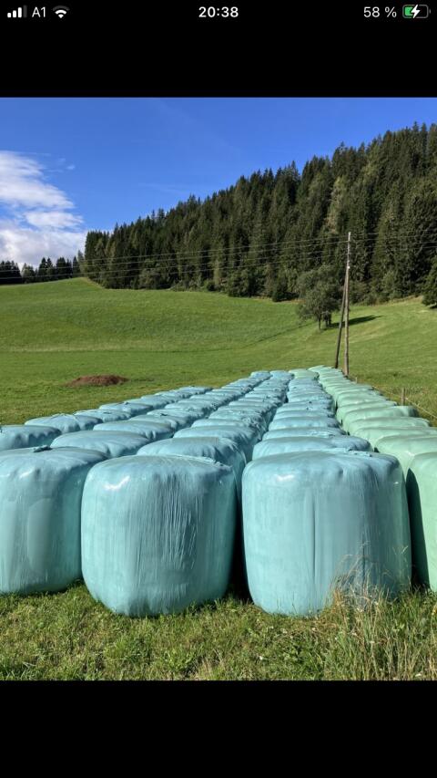 Bio-Silageballen