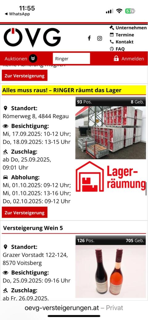 Schalung, Gerüst