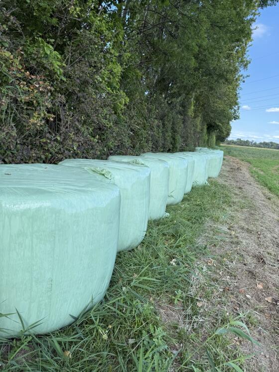 Bio Luzerne Silageballen