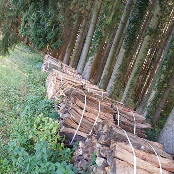 Brennholz