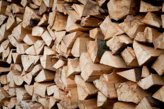Brennholz