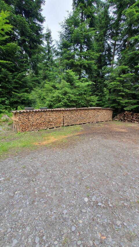 Brennholz Buche 50 cm