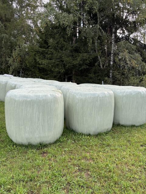 Siloballen