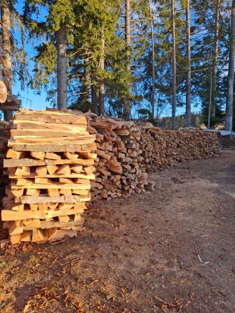 Kaminholz