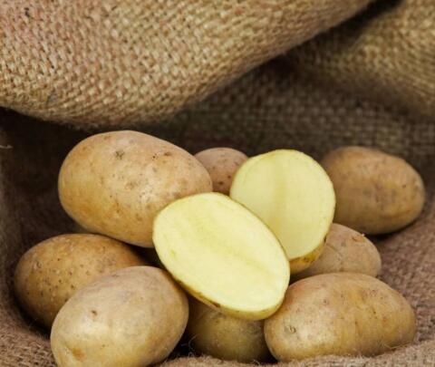Bio-Kartoffeln Ditta