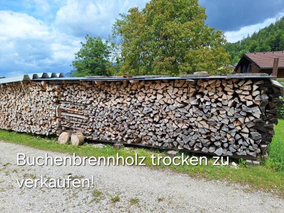 Buchenbrennholz