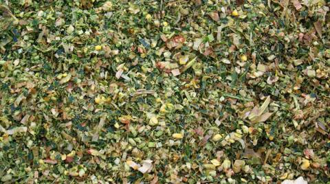 Biomais Silageballen, Bio Maisballen, Biomais-Ballen