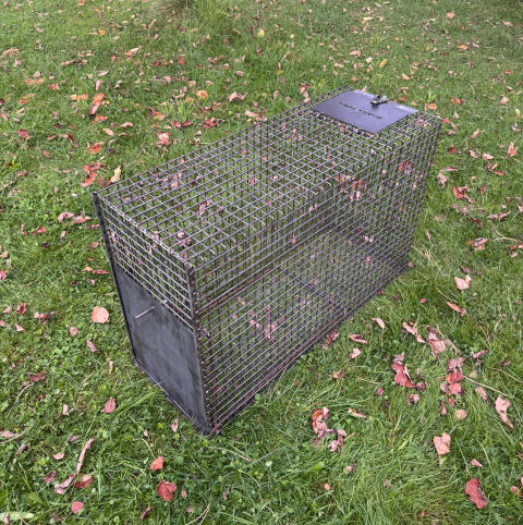 Lebendfalle/Steckkastenfalle/ Drahtgitterfalle (Länge 1 m)