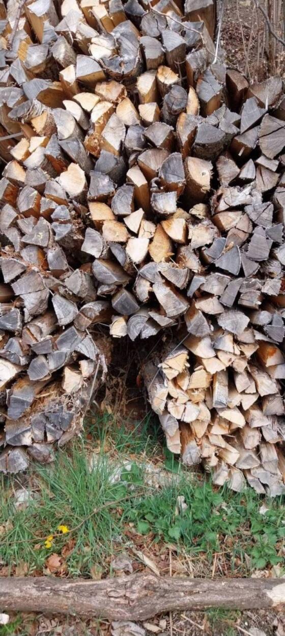 Brennholz