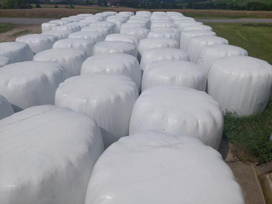 Silageballen