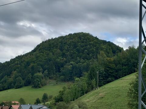 Wald 6,9 ha