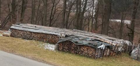 Brennholz Buche