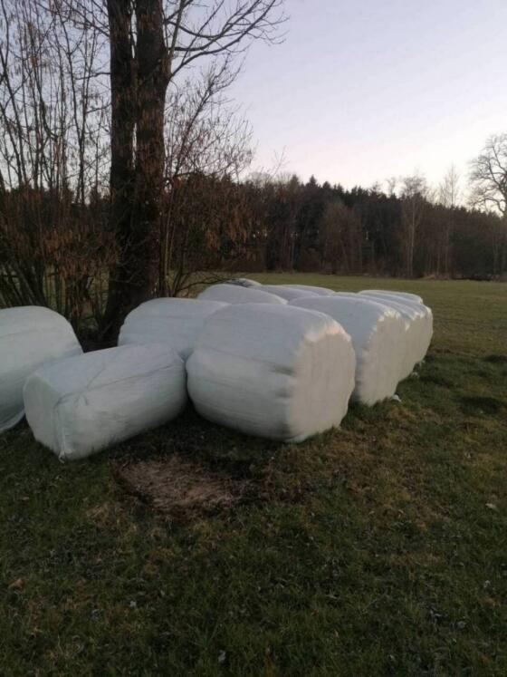 Silageballen
