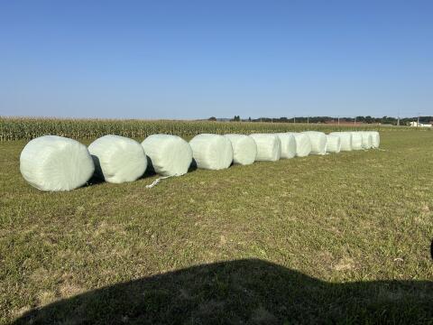 Silageballen von 08/2025 zu verkaufen