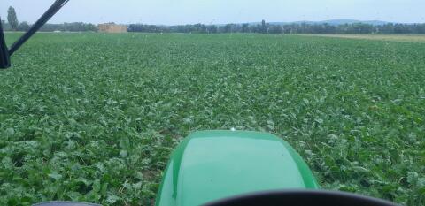 Landwirt kauft Acker