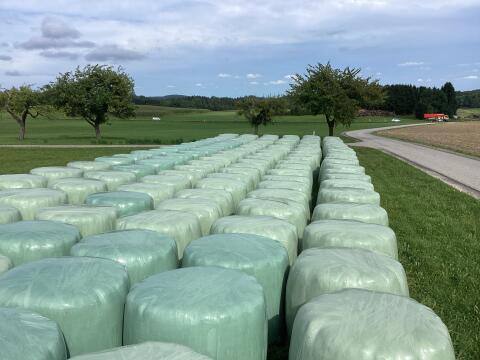 Siloballen 1. Schnitt 2025 (konventionell)