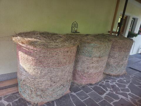 Heuballen 1. Schnitt