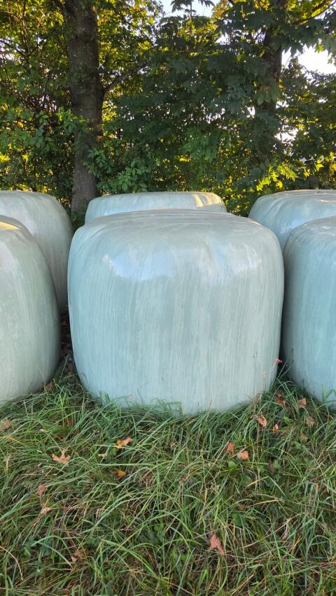 Silageballen