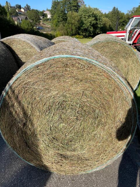 Heuballen 2. Schnitt