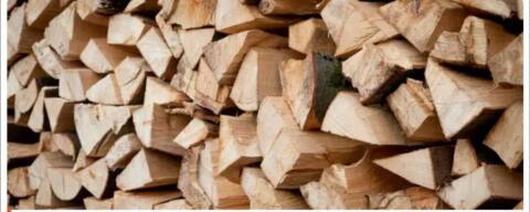 Brennholz