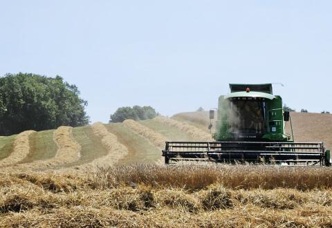 Biete Lohndrusch mit Deutz-Fahr Mähdrescher