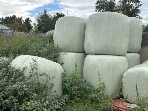 Silageballen zu verkaufen