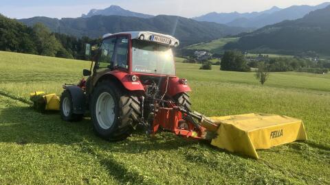 Fella Sm206