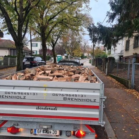 Brennholz Hartholz Esche
