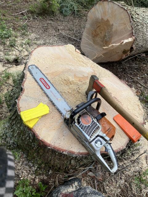 Holzschlägerung