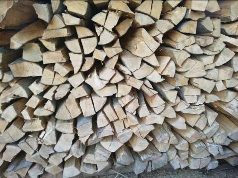 Brennholz Buche