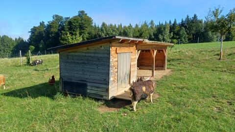 Weidestall für Freilandschweinehaltung