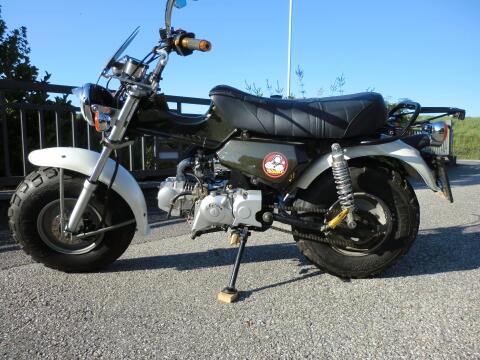 Skyteam T-Rex 125