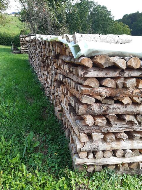 Brennholz