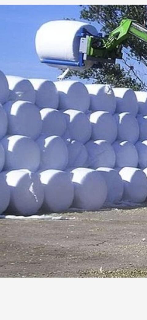 Maisballen Silomais Rundballen