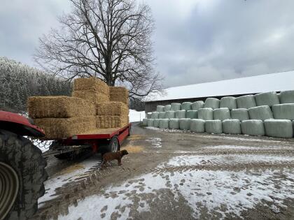 Stroh, Heu, Silage