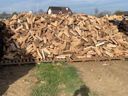 Brennholz trocken