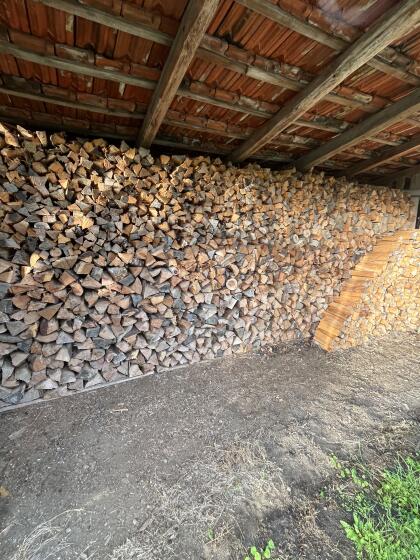 Brennholz Fichte Kiefer