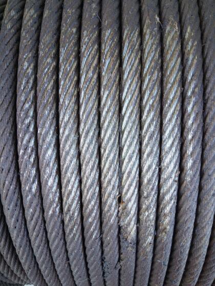 Tragseil Woodliner 22 mm