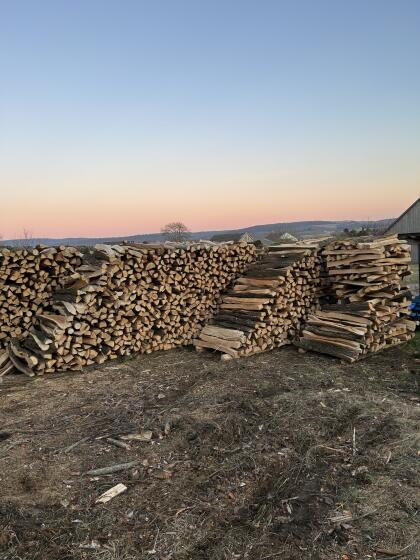 Brennholz
