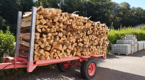 Brennholzwagen, Ziegenstall, Holzanhänger