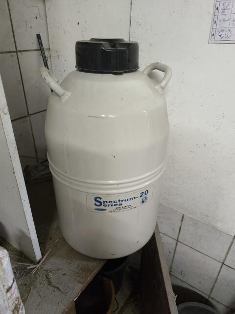 Besamungsbehälter Besamungscontainer
