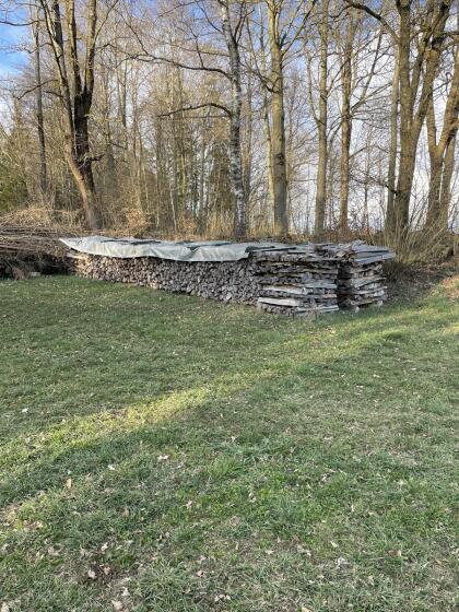 Buchenbrennholz