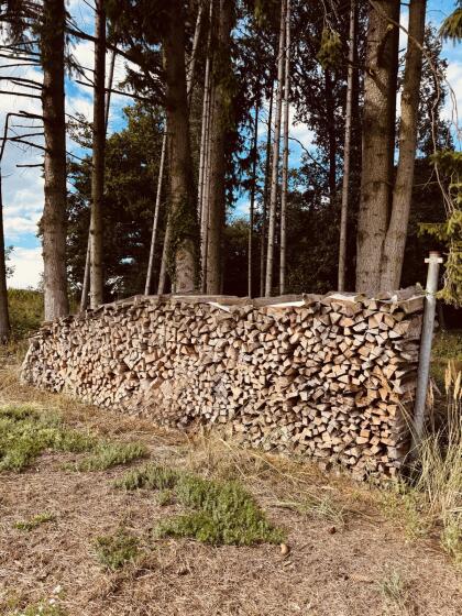 Brennholz zu verkaufen (Hartholz)